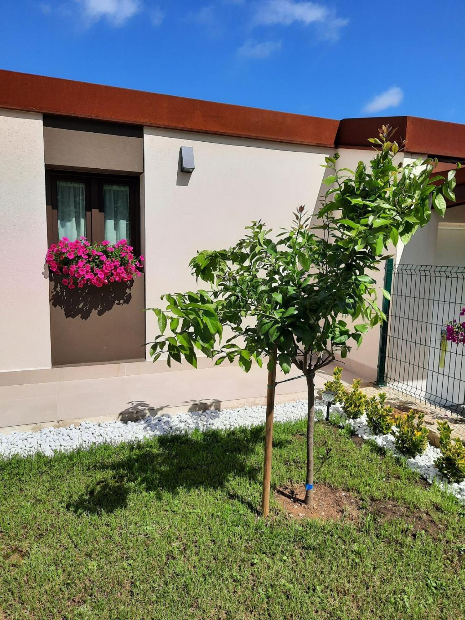 Vistas Al Mar Y Con Jardin - Casa Abelia *